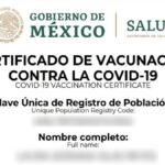 Certificado de vacunación Covid Estado de México Foto: Especial