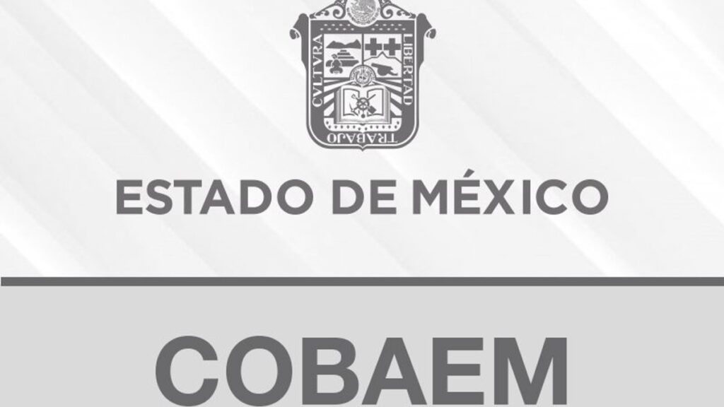 Resultados Beca por Aprovechamiento Escolar 2021 Colegio de Bachilleres del Estado de México Foto: Especial