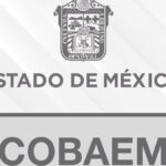 Resultados Beca por Aprovechamiento Escolar 2021 Colegio de Bachilleres del Estado de México Foto: Especial