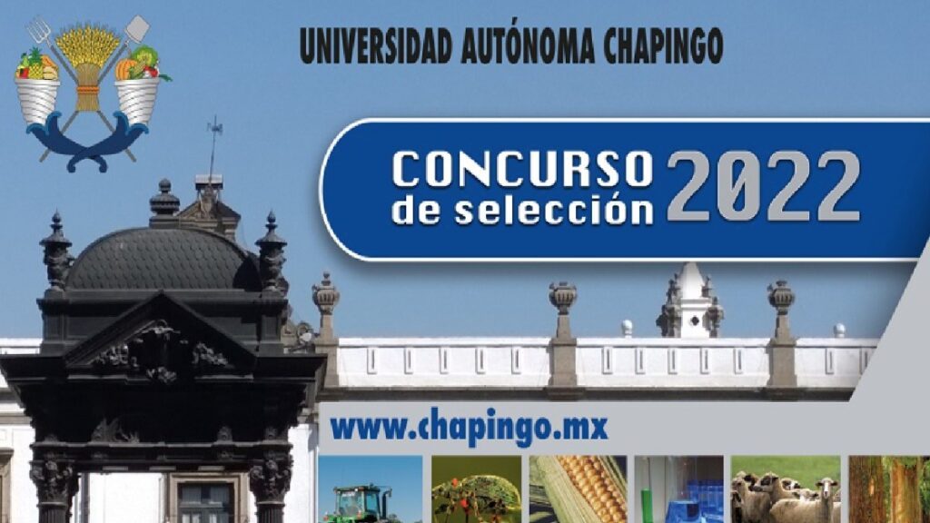 Registro en línea Concurso de Selección 2022 Universidad Autónoma Chapingo Foto: Especial