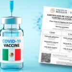 Certificado de vacunación Covid Toluca 2022. Aquí lo puedes descargar Foto: Especial
