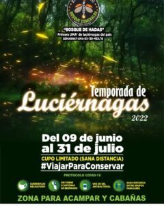 Temporada Bosque de las Luciérnagas Edomex 2022 