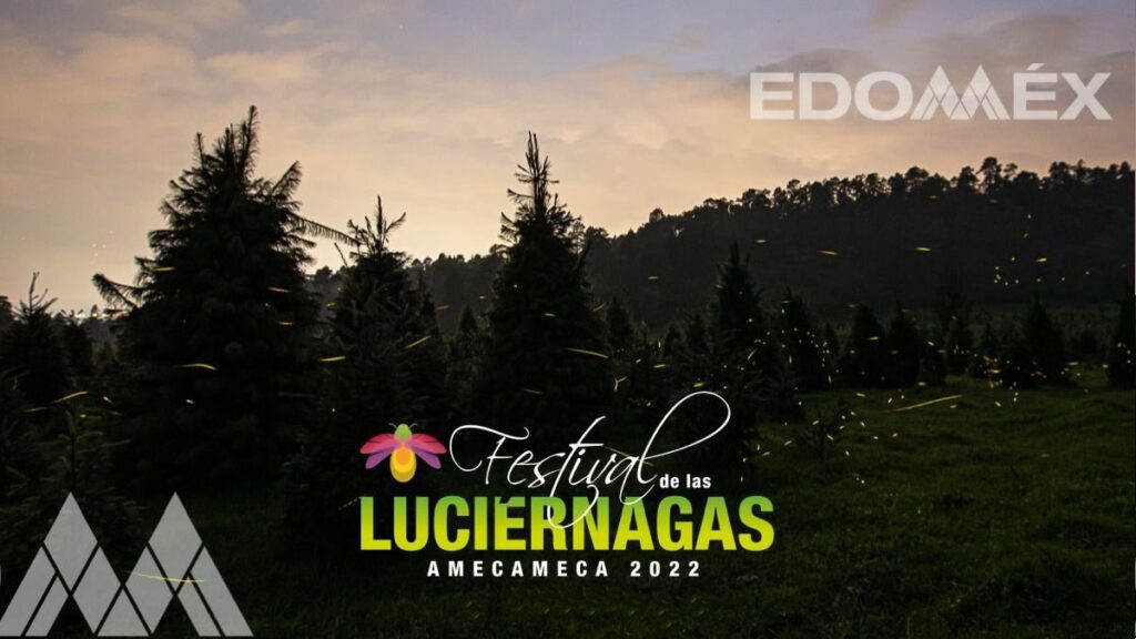 ¿Cuándo es el Festival de las Luciérnagas Edomex 2022? Aquí te contamos Foto: Especial