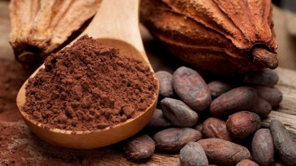 Día Mundial del Cacao 2022. Lo que debes saber de este alimento Foto: Especial