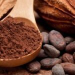 Día Mundial del Cacao 2022. Lo que debes saber de este alimento Foto: Especial