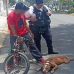 No podía trasladar a su perro herido; patrulla de la Policía de Neza lo ayudó Foto FB: Seguridad Neza
