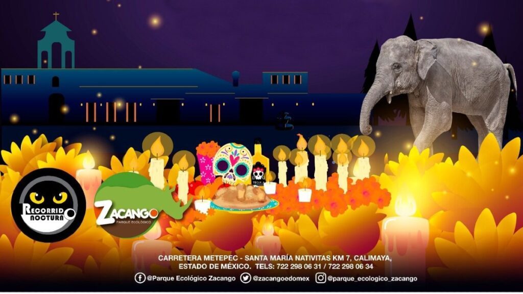 Noche de Muertos en Zoológico de Zacango 2022. ¿Cuándo es el recorrido nocturno? Foto: Especial
