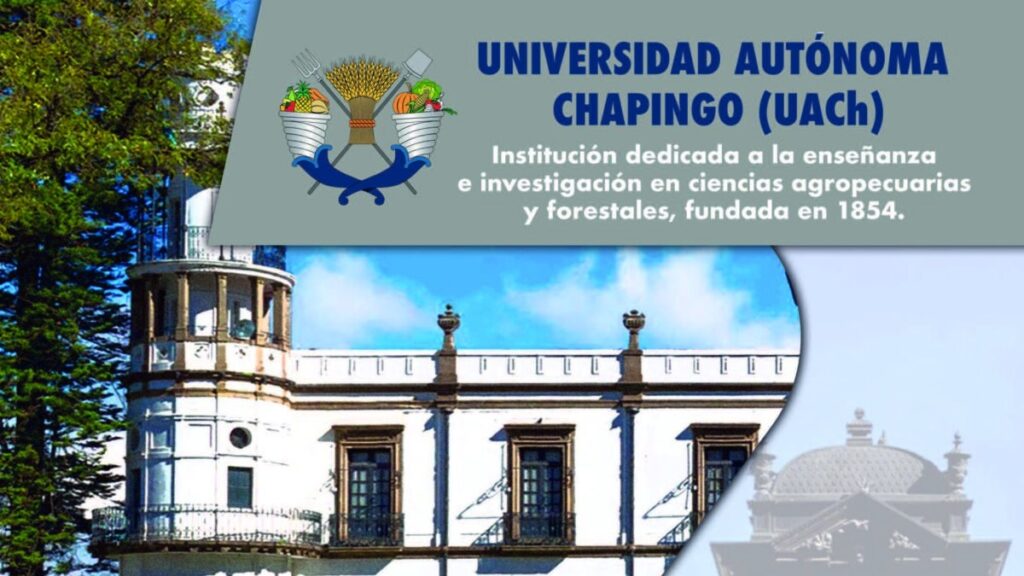 Registro convocatoria Universidad Autónoma de Chapingo 2023. Aquí lo puedes hacer Foto: Especial